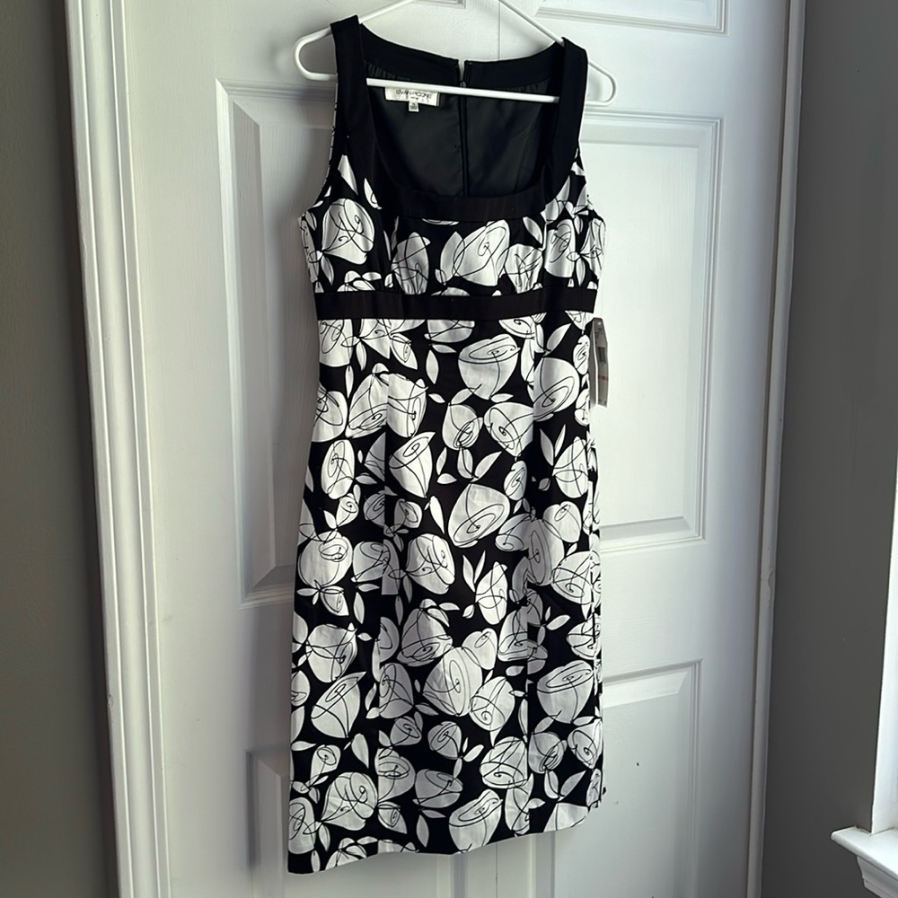 Evan Picone dress